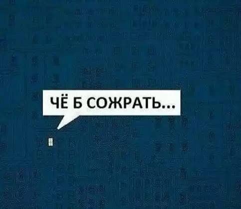 Вот теперь видно, что Новый год прошел. В мусорных баках появились первые робкие елочки… Вот теперь видно, что Новый год прошел. В мусорных баках появились первые робкие елочки…