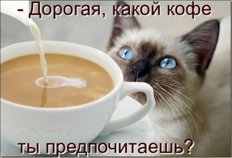 Маленький анекдотик с картинками.