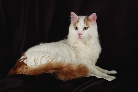 ������� ��������� � ������� ����� �����