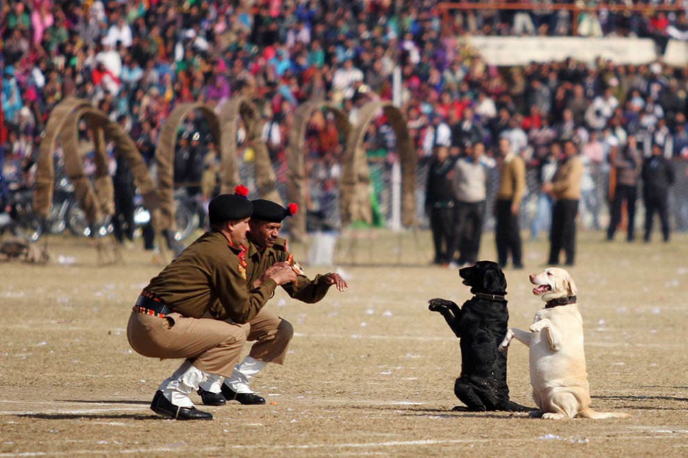 День республики в Индии