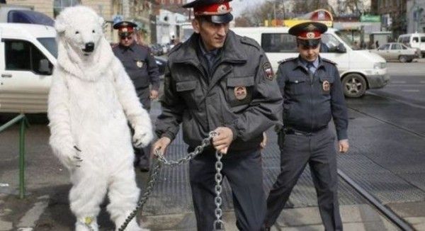 фото, юмор, полицейские будни