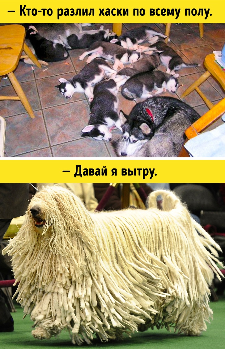 Мастера перевоплощения!)) Мастера перевоплощения!))