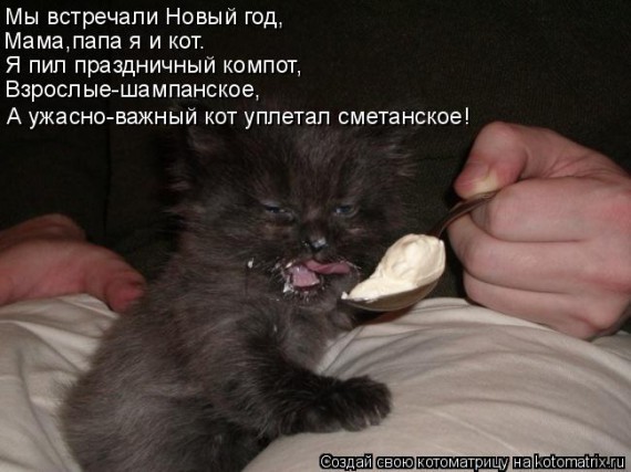Котоматрицы новогодние великолепные, каждая с кусочком тепла, позитива и улыбкой!