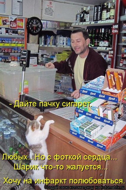 Лучшие котоматрицы недели Лучшие котоматрицы недели