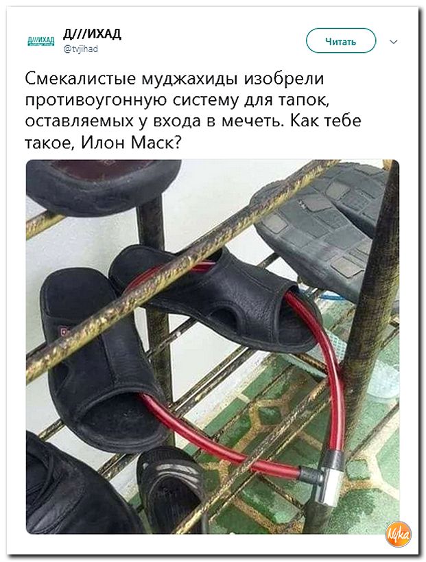 Обзор ситуации в мире с сарказмом и ехидной улыбкой Обзор ситуации в мире с сарказмом и ехидной улыбкой