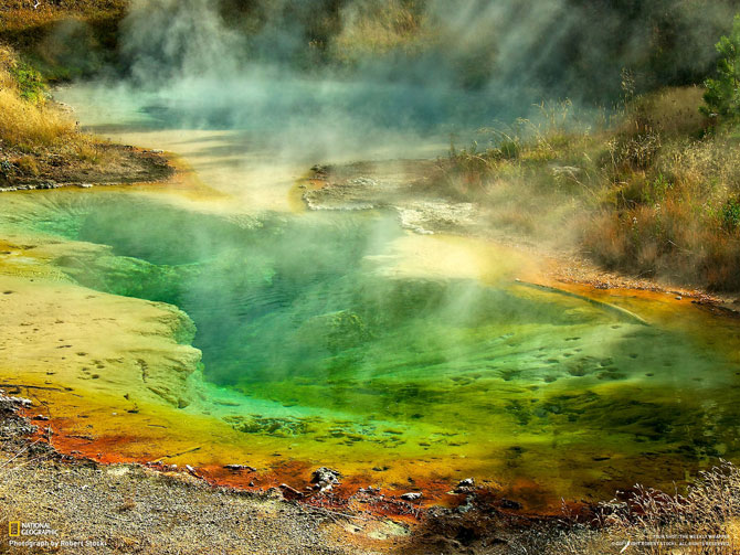 Лучшие фотографии июня от National Geographic