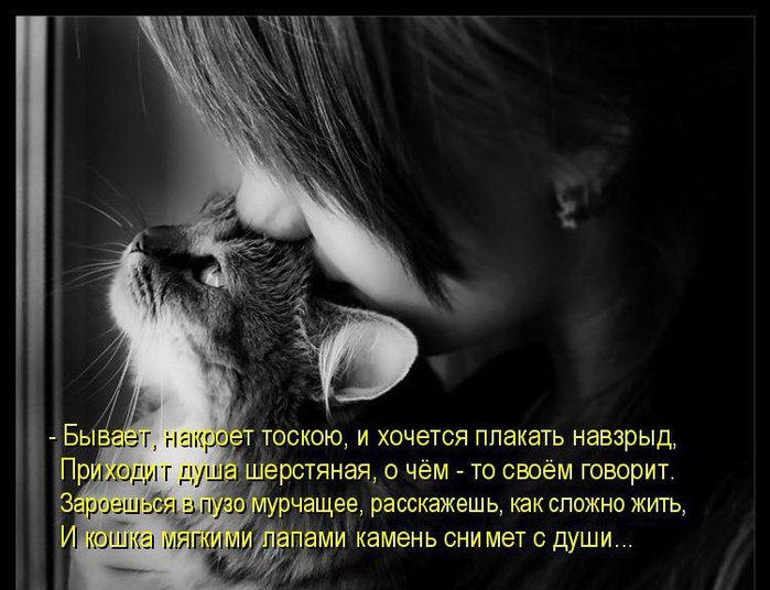 3416556_original (700x536, 77Kb)