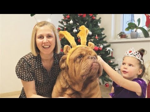 Смотреть новые приколы с животными февраль 2018 Смотреть новые приколы с животными февраль 2018