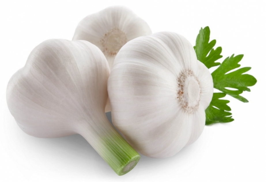 BR: экстракт чеснока может смягчить возрастную потерю памяти