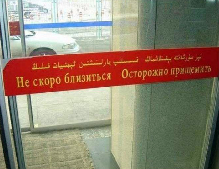 Высококвалифицированный переводчик. | Фото: Sivator.com. Высококвалифицированный переводчик. | Фото: Sivator.com.
