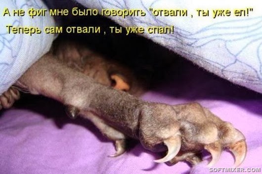 763f55e483a1c582b866bb6a668_prev