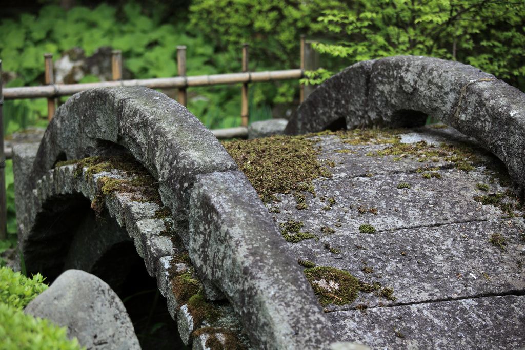 �������� ��� ��� ������ ������������ ������ �������