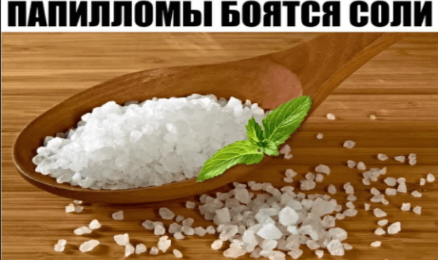 MQGPZBY9