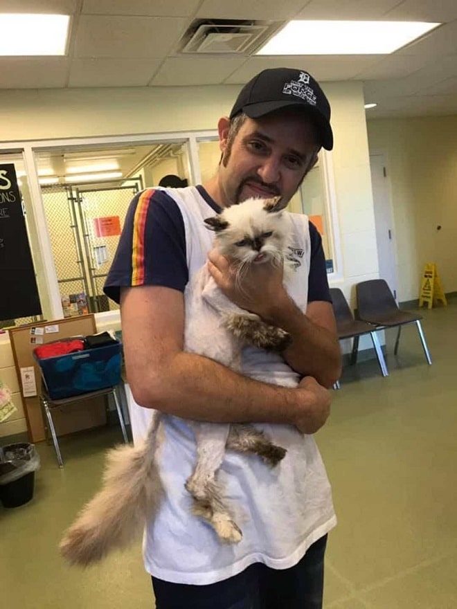 Кошка с хозяином Кошка и мужчина