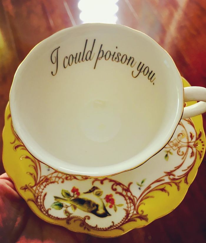 Insult-Teacups-Saucers-Melissa-Johnson