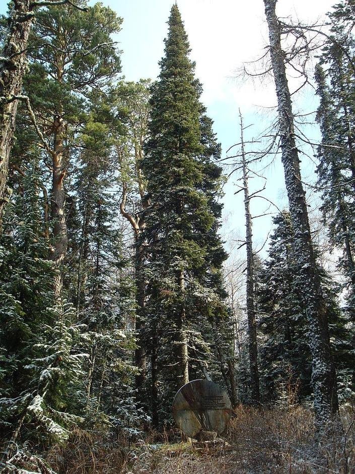 '"Палласово '"Палласово