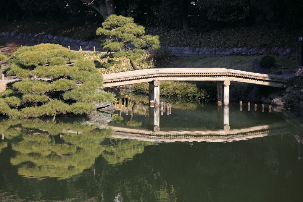 �������� ��� ��� ������ ������������ ������ �������