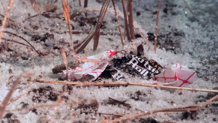 война, случай, интересное