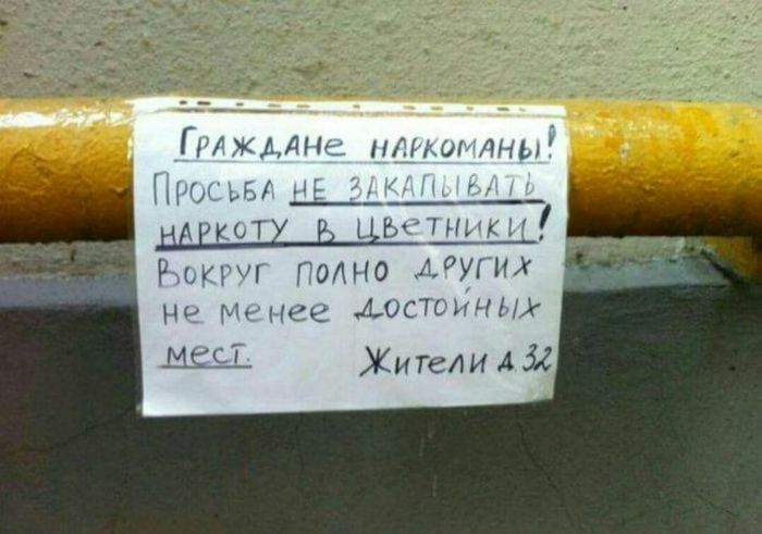 Вашим наркотикам не место в нашем саду. | Фото: Приколы - bigmir)net. Вашим наркотикам не место в нашем саду. | Фото: Приколы - bigmir)net.