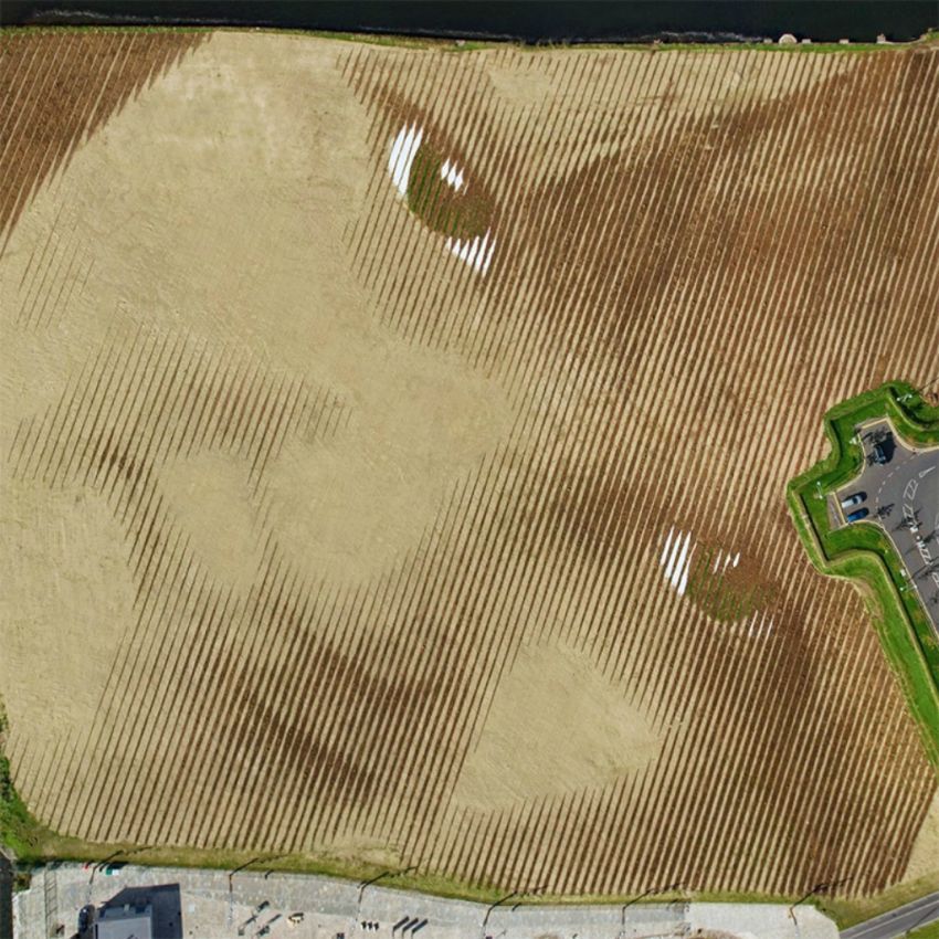 Портрет, арт-проект