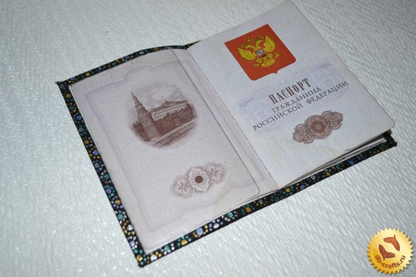 Паспорт своими руками цена 77