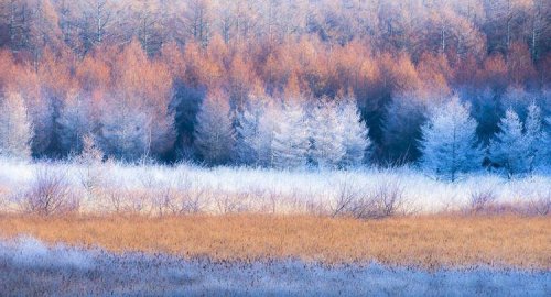 Японские пейзажи в фотографиях Такаси Комацубара (13 фото)