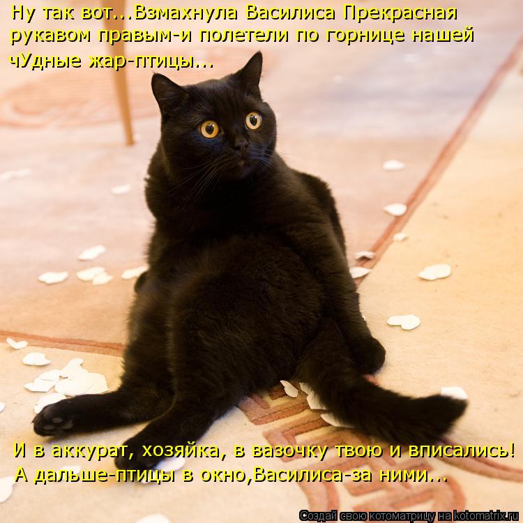 И снова котоматрица!!! И снова котоматрица!!!