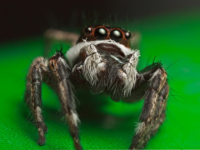 ��������������� John Cogan