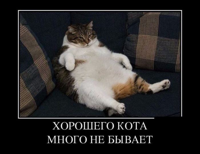 Демотиваторы (30 фото) Демотиваторы (30 фото)