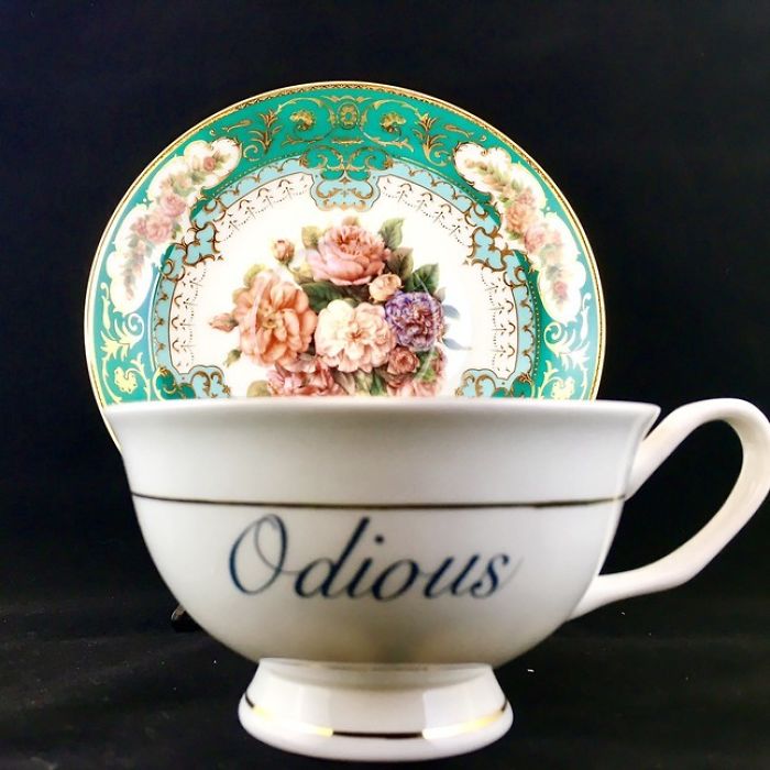 Insult-Teacups-Saucers-Melissa-Johnson