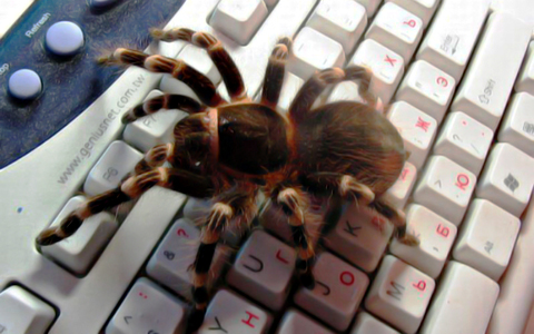 ������� �����: � ������� ������� ����