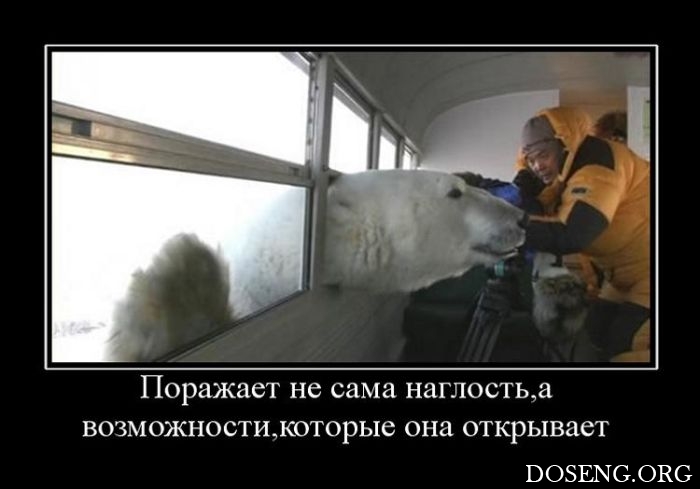 Демотиваторы Демотиваторы