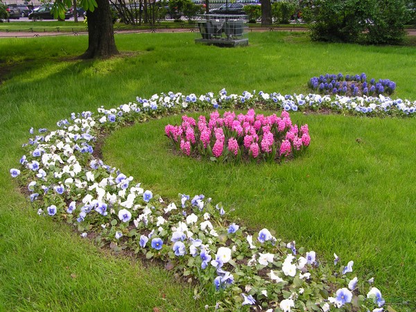 формы цветочных клумб фото формы цветочных клумб фото