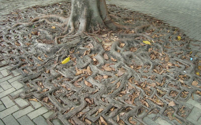 best03 Лучшие фотографии месяца по версии журнала Twistedsifter