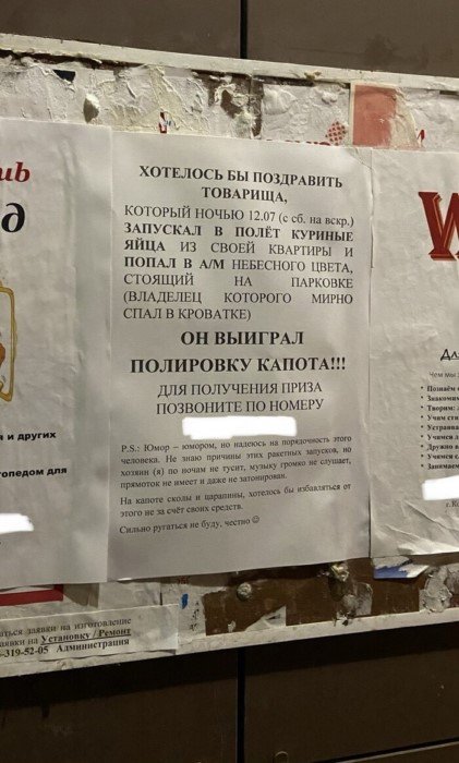 В нашем доме поселился замечательный сосед. Как выживают люди в "человейниках" В нашем доме поселился замечательный сосед. Как выживают люди в "человейниках"