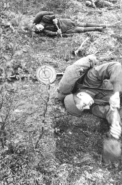 41inf21