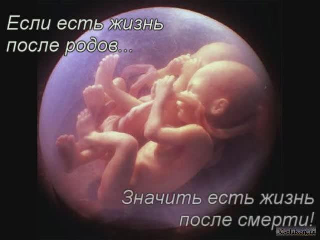 Как ребёнок испражняется в утробе матери Как ребёнок испражняется в утробе матери