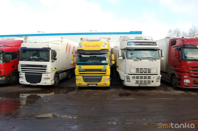 «Новое Бирюлёво» в Серпуховском районе. Репортаж по горячим следам Расследование