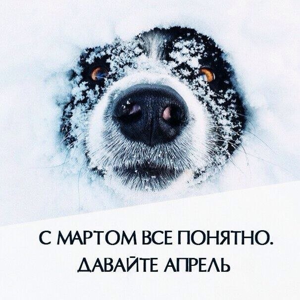 Картинки без политики Картинки без политики