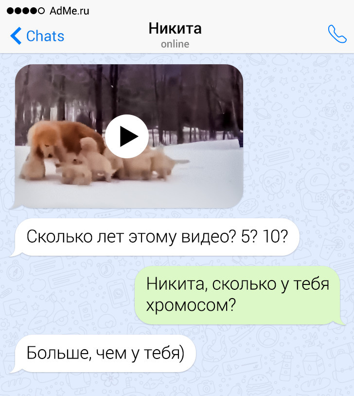 СМСки ... нескучные - точно :) СМСки ... нескучные - точно :)