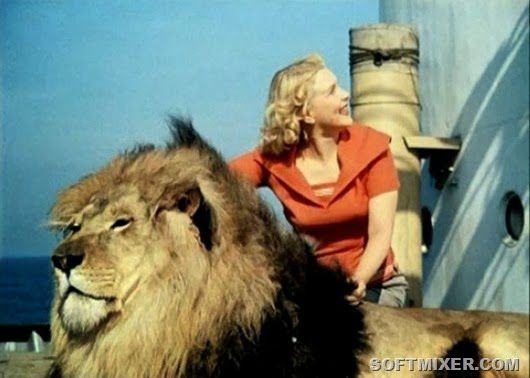 Полосатый рейс, фильм