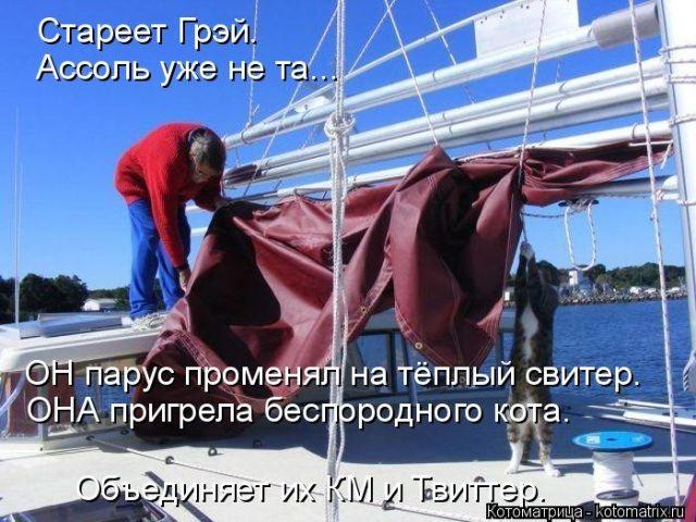 Самые смешные котоматрицы для хорошего настроения) Самые смешные котоматрицы для хорошего настроения)