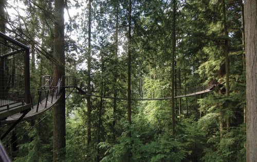 Самые экстремальные мосты планеты (13 фото)