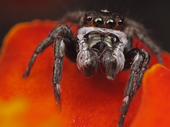 ��������������� John Cogan