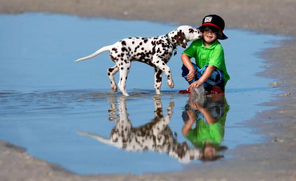 Позитивные обои для рабочего стола - Настоящая дружба