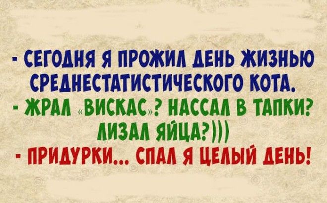Великолепная подборка анекдотов во славу выходных