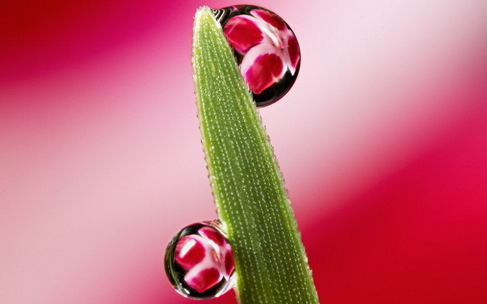 ��������������� John Cogan