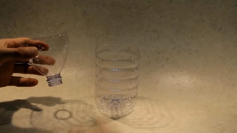 Положите грецкий орех в бутылку и удивитесь результату