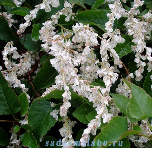 ����� ��� ���� � ����� �������� ������������� ������