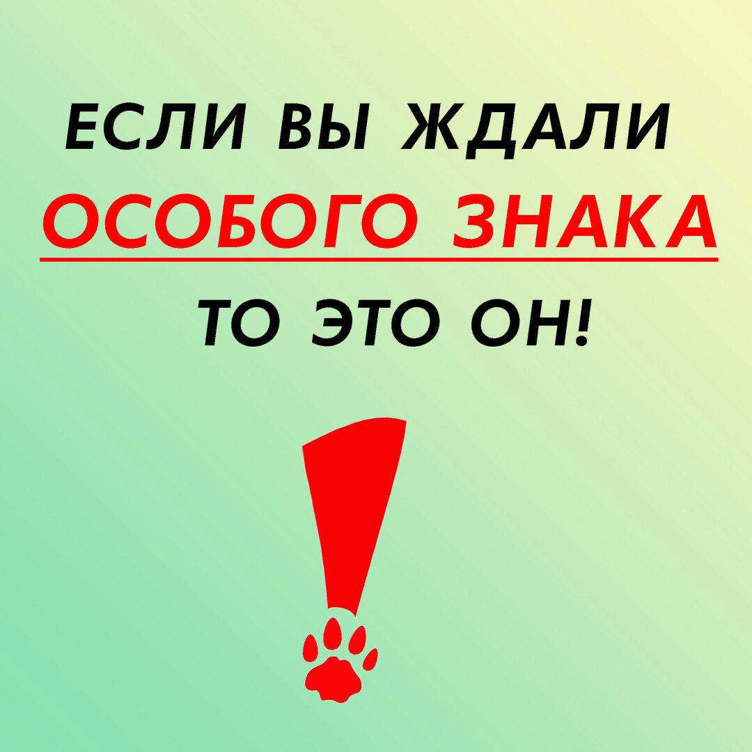 Заберите нас домой! Будем вашим мохнатым счастьем!)